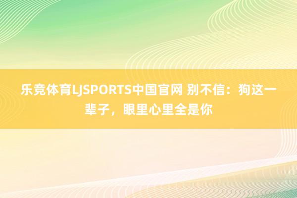 乐竞体育LJSPORTS中国官网 别不信：狗这一辈子，眼里心里全是你