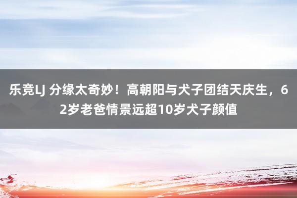 乐竞LJ 分缘太奇妙！高朝阳与犬子团结天庆生，62岁老爸情景远超10岁犬子颜值