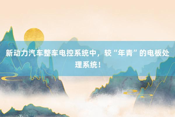 新动力汽车整车电控系统中，较“年青”的电板处理系统！