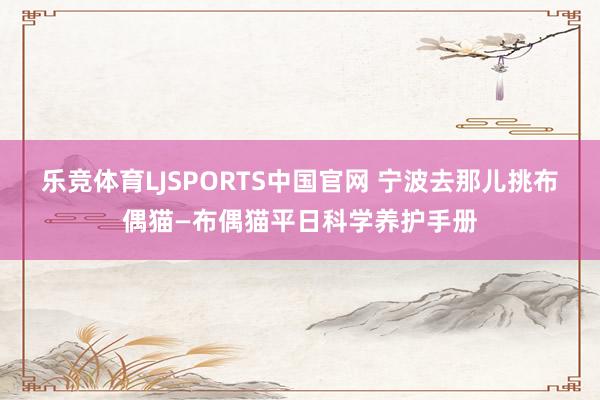 乐竞体育LJSPORTS中国官网 宁波去那儿挑布偶猫—布偶猫平日科学养护手册