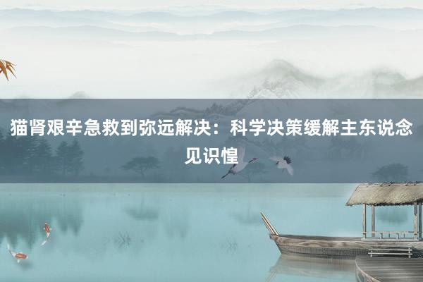 猫肾艰辛急救到弥远解决：科学决策缓解主东说念见识惶