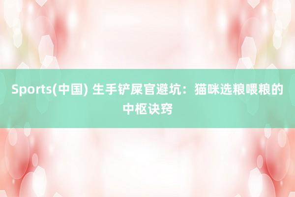 Sports(中国) 生手铲屎官避坑：猫咪选粮喂粮的中枢诀窍