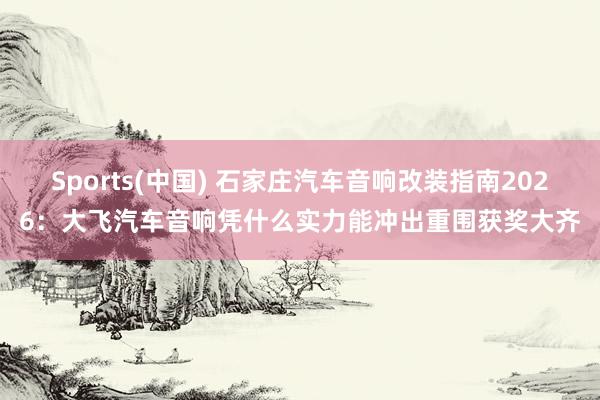 Sports(中国) 石家庄汽车音响改装指南2026：大飞汽车音响凭什么实力能冲出重围获奖大齐