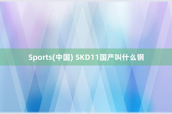 Sports(中国) SKD11国产叫什么钢